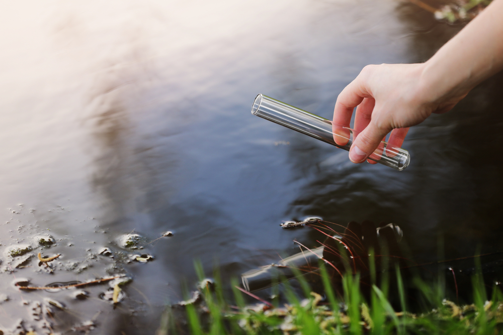 wasserqualität teich