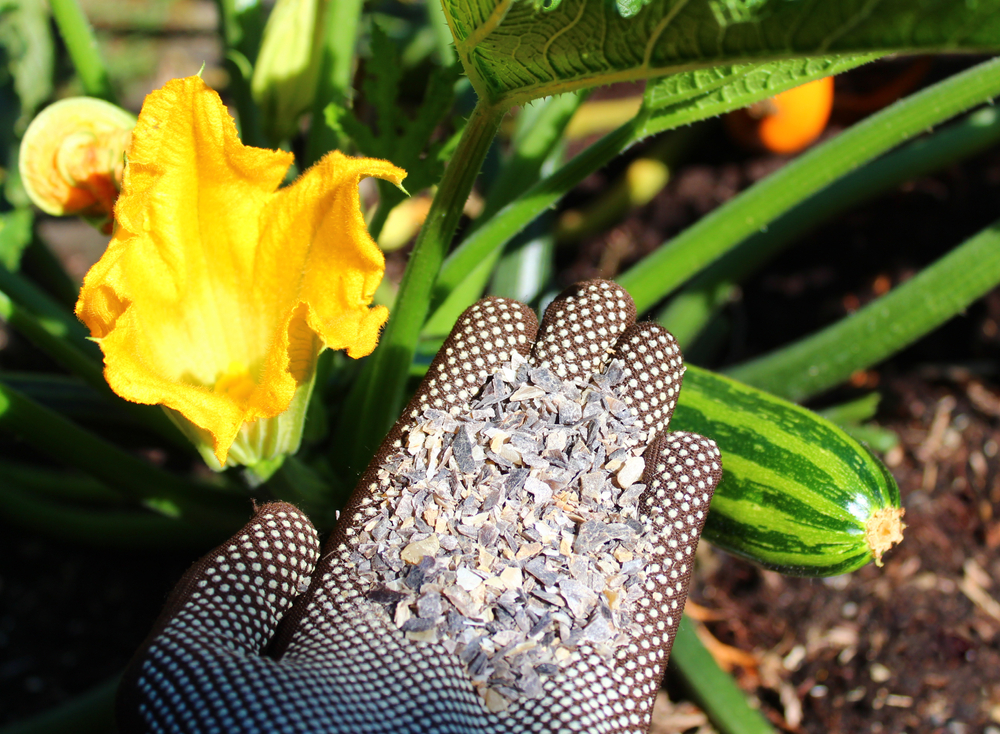 hornspäne als düngemittel