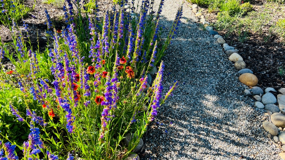 kiesweg im garten