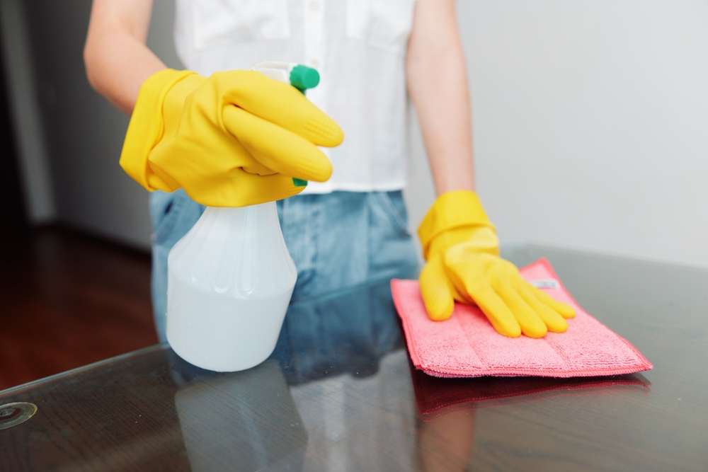 wohnung reinigen
