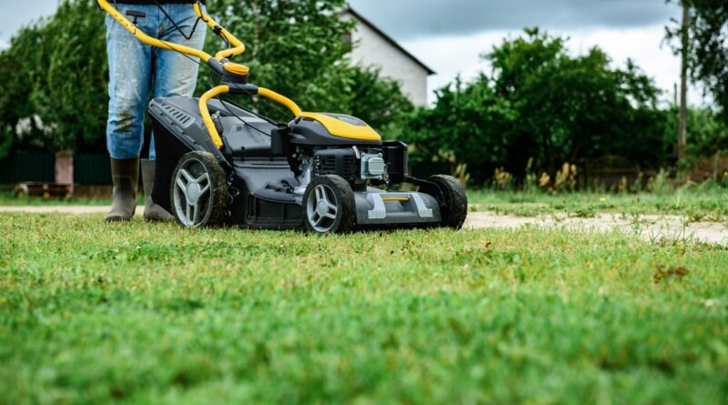 rasen mähen