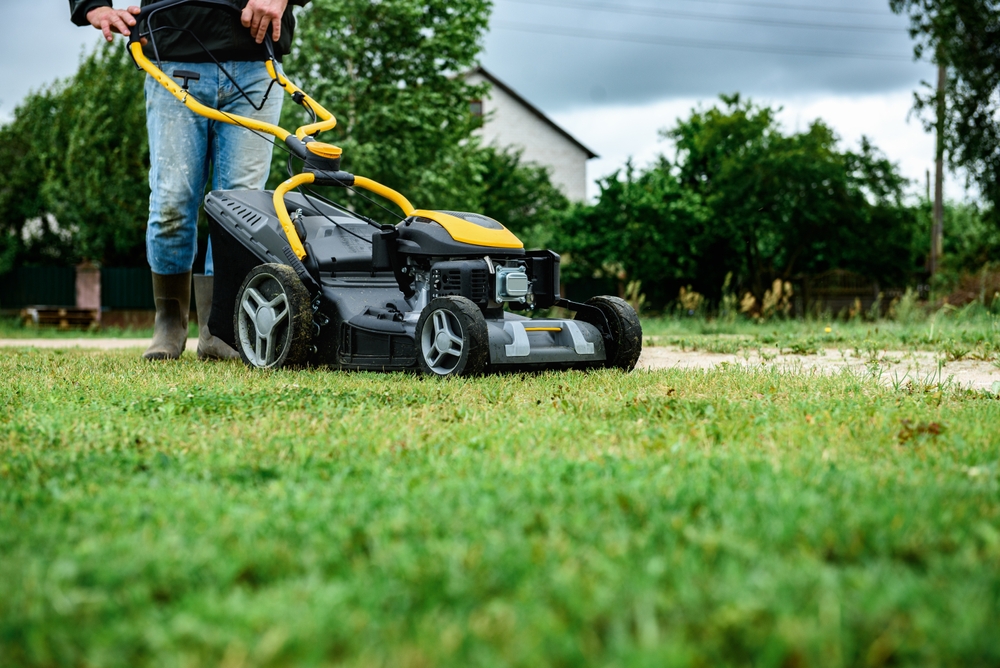 rasen mähen