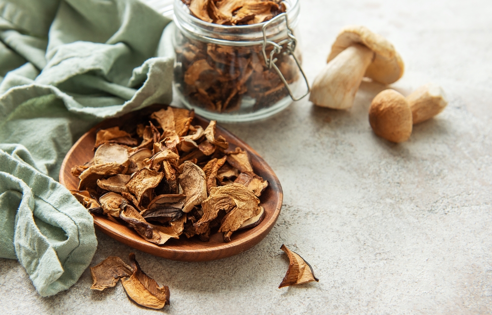 frische steinpilze trocknen