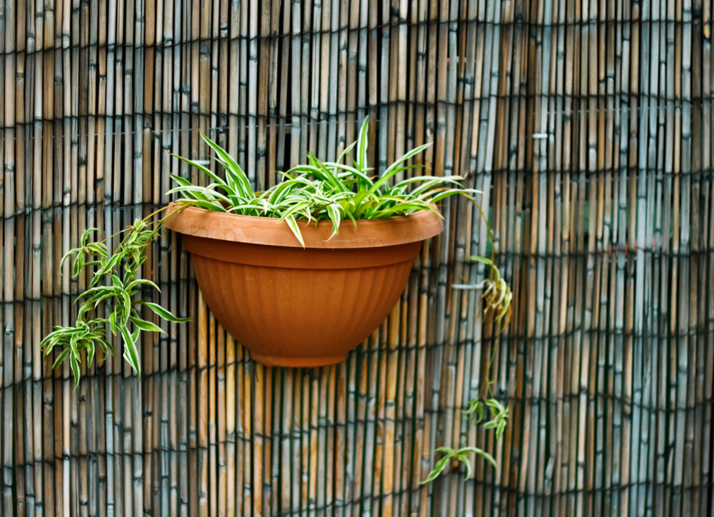 Schilfrohrmatte an der Wand