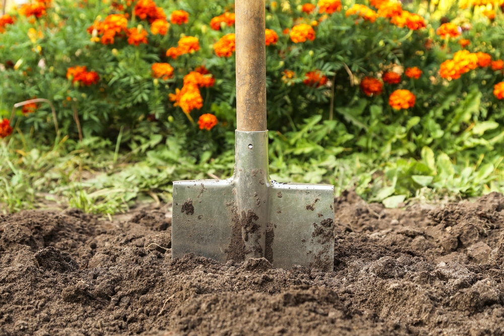 spaten steckt in erde