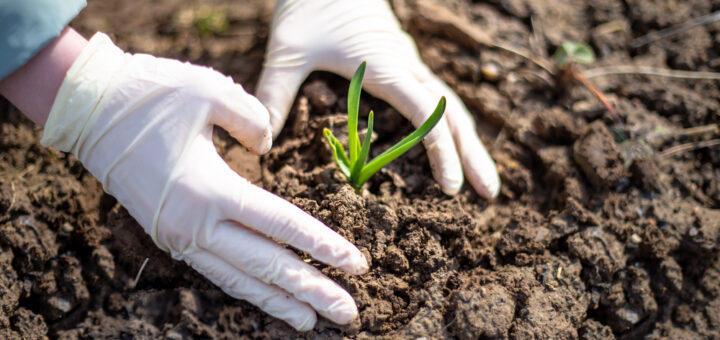 gartenarbeit mit gummihandschuhen