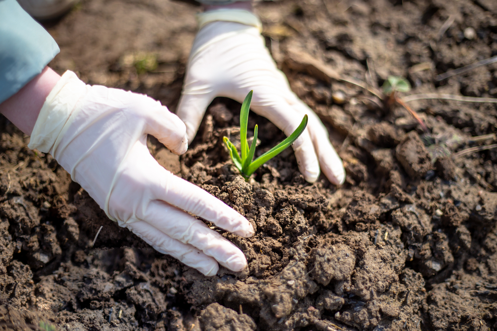 gartenarbeit mit gummihandschuhen