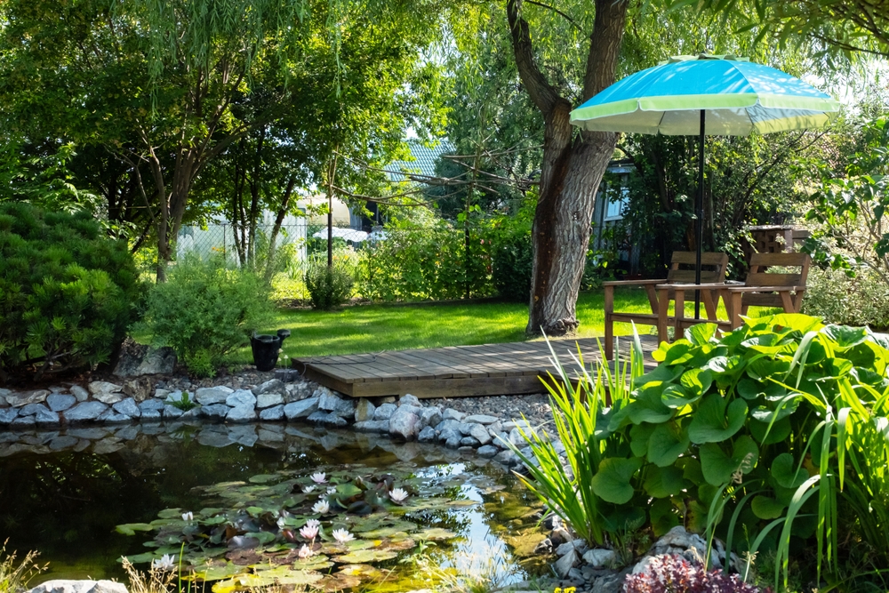 Teich Garten