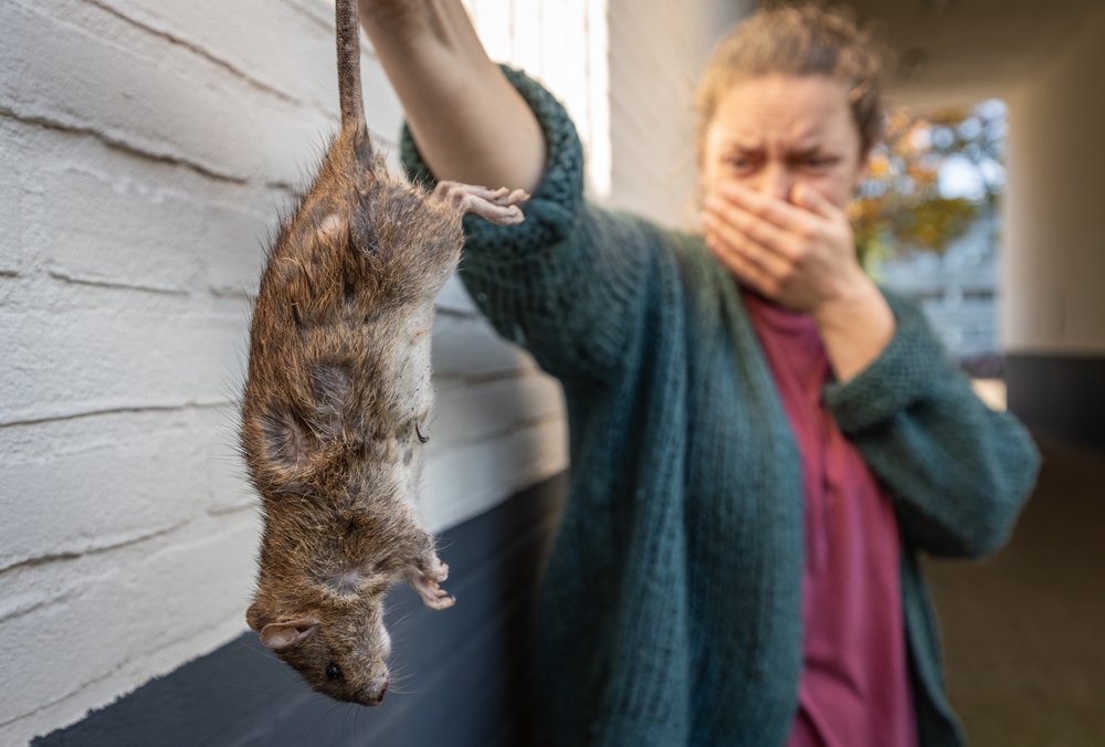 Ratte Frau