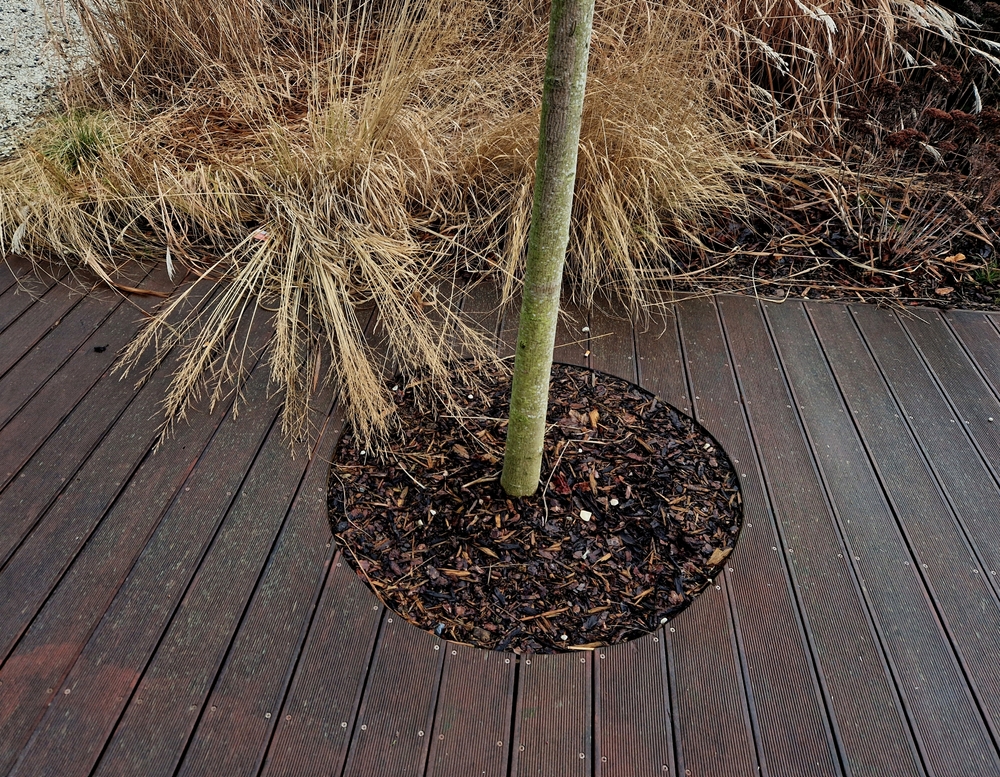 Terrasse mit integriertem Baum