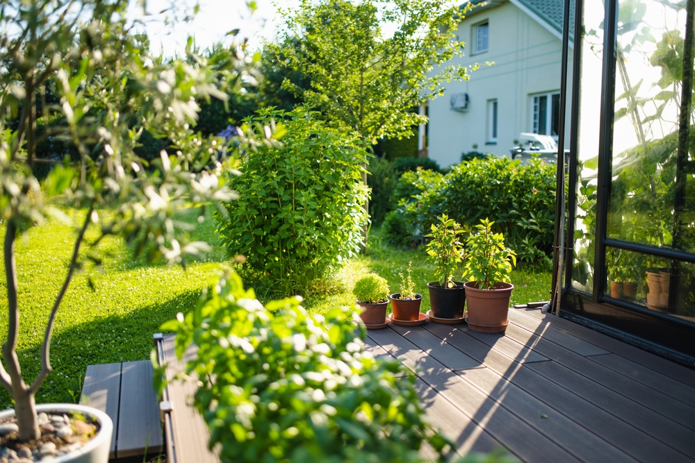 Terrassengrün