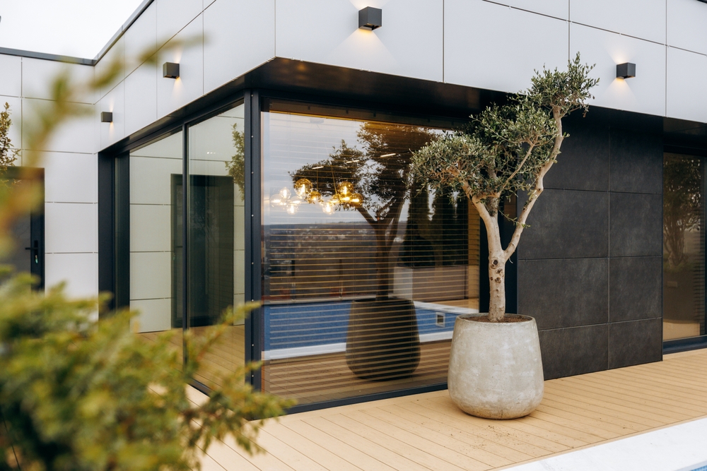 Olivenbaum Terrasse